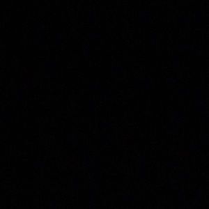 Meet your Posher, Carson